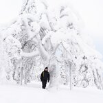 Photo taken by Raylene C