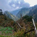 Photo taken by Cesar A