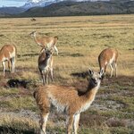 Photo taken by Nphlnn P