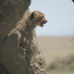 Photo taken by Kristin M