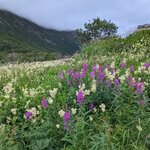 Photo taken by Dani L