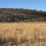 Photo taken by Ingenie D