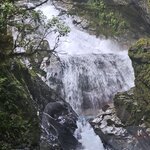 Photo taken by Dan J