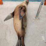 Photo taken by Patricia D