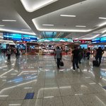 Dubia aurport | Photo taken by suzanne c