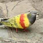 Photo taken by Linda S