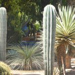 null | Photo taken by Wayne P