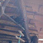 Photo taken by Sam G