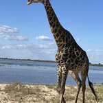 Photo taken by rhonda c