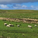 Photo taken by Scott L