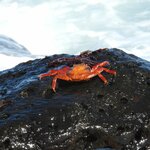 Photo taken by Patricia D