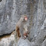 Photo taken by Barry Y