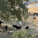 Photo taken by Lisa G