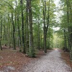 Photo taken by Chris M