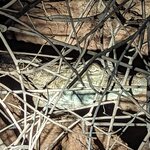 Photo taken by nikunj g