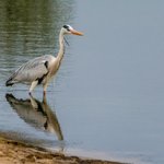 Photo taken by Graham D