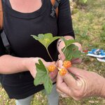 Photo taken by Debbie W