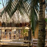 Photo taken by Juliette S