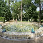 Photo taken by Tricia Z