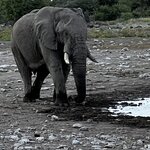 Photo taken by Peter L