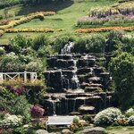 Photo taken by Shaula L