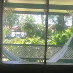 Photo taken by mariam a