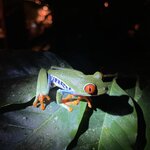 Photo taken by Kate R