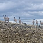 Photo taken by SANDRA V