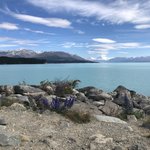 Lake Pukaki  | Photo taken by Marilyn L
