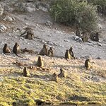 Photo taken by Janie W