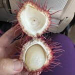 Photo taken by Victoria C