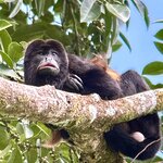 Photo taken by KLAUS A