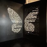 Photo taken by Marcos M