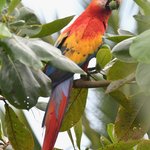 Photo taken by Graeme W