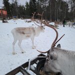 Photo taken by Charlotte E