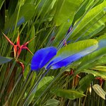 Photo taken by Kim G