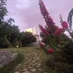 Photo taken by Bill R