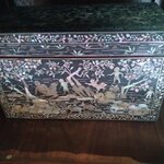 Photo taken by Janice D