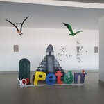 Photo taken by Camille S