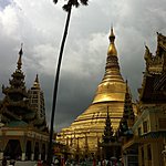 The site used to have quite a few palm and other trees. Now there is one left. | Photo taken by Rodney S