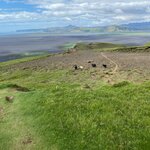 Photo taken by Daniel K