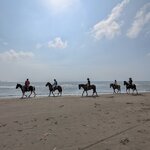 Photo taken by Camilo Z