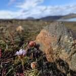 Photo taken by Scott C