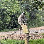 Photo taken by Inge van K