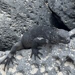 Photo taken by Scott M