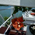 Photo taken by Mylan L