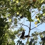 Photo taken by Judith C