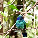 Photo taken by Mary D