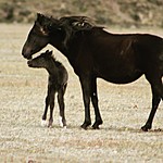 Photo taken by Marcia G