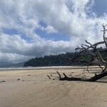 Photo taken by Helen R